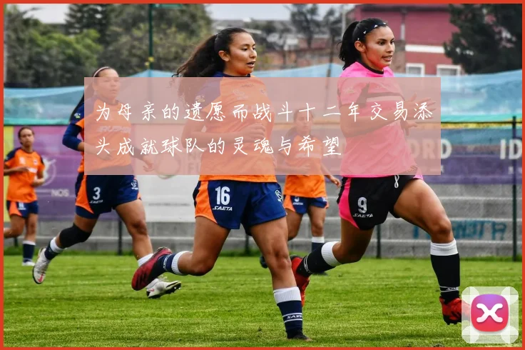 为母亲的遗愿而战斗十二年交易添头成就球队的灵魂与希望