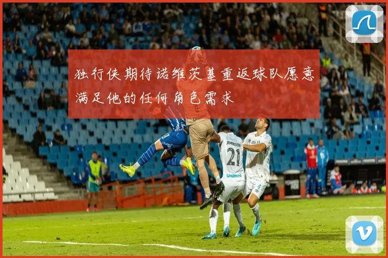 独行侠期待诺维茨基重返球队愿意满足他的任何角色需求